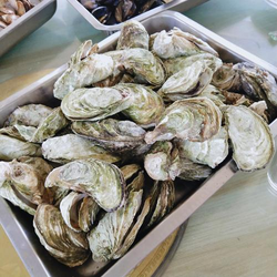 51吃瓜黑料内容展示界面